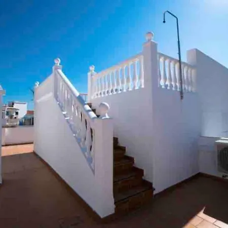 Palmas In Old Town *