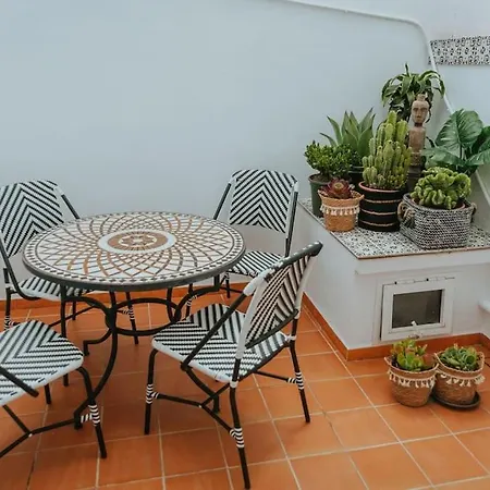 Palmas In Old Town *