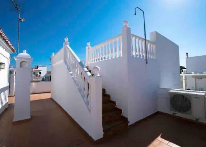 Palmas In Old Town *