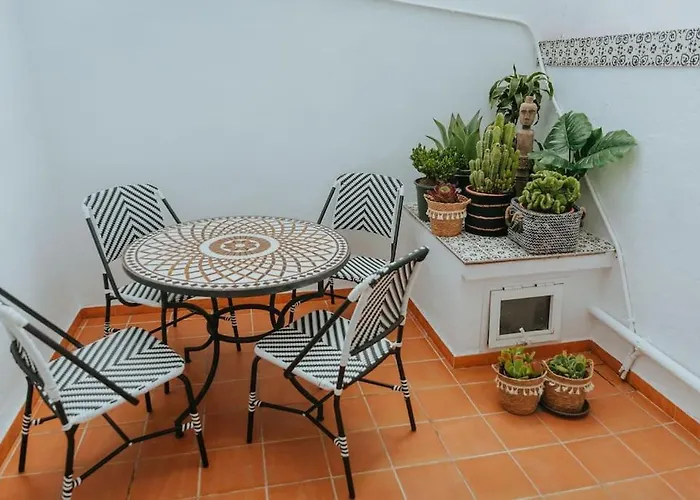 Palmas In Old Town *